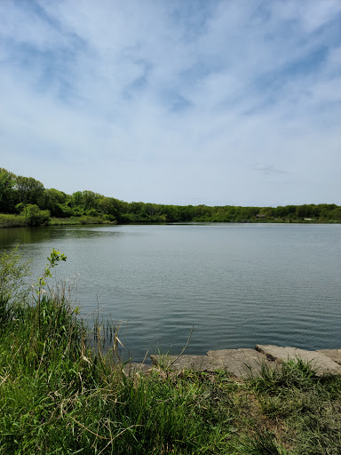 Nature Preserve «Bullfrog Lake», reviews and photos, 9600 Wolf Rd, Willow Springs, IL 60480, USA