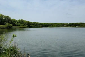 Bullfrog Lake image
