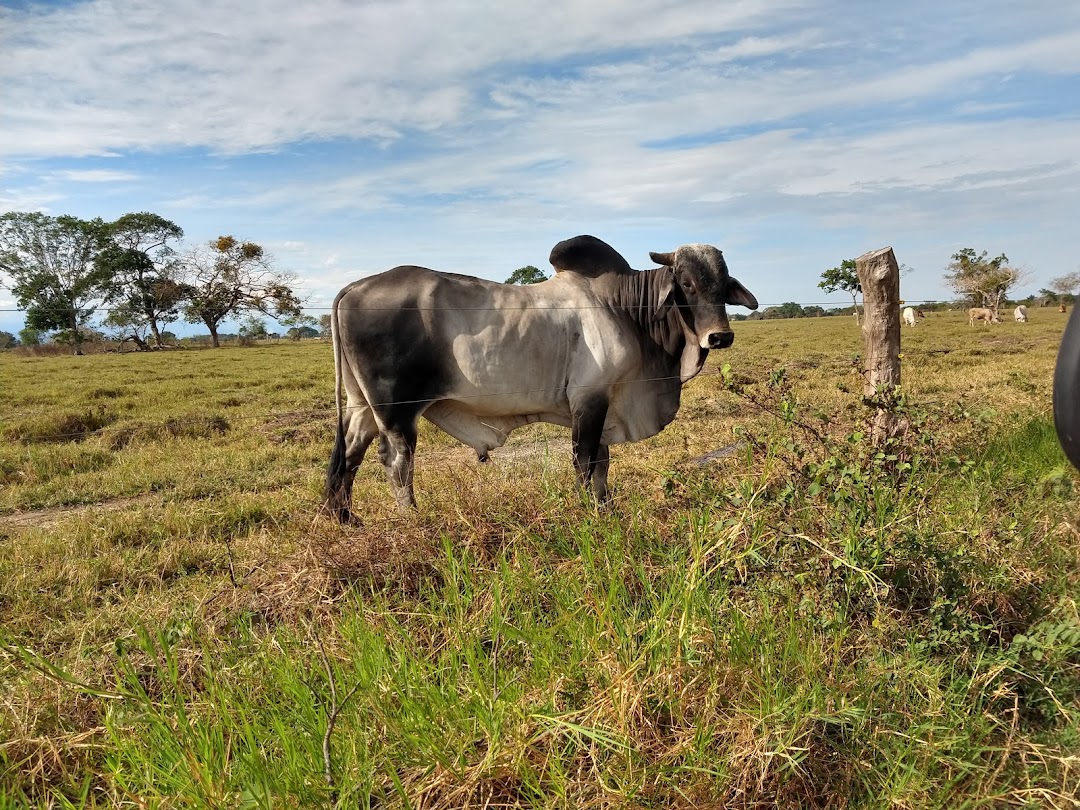 Finca la Gaitana