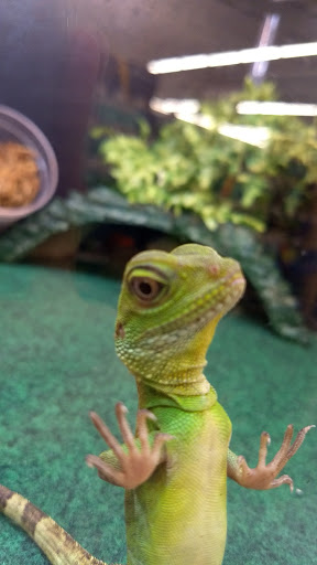 Pet Supply Store «Pet Supplies Plus», reviews and photos, 1810 Declaration Dr, Independence, KY 41051, USA