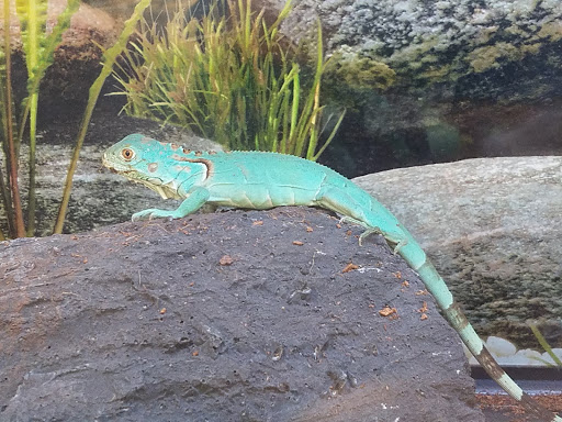 Pet Supply Store «Petco Animal Supplies», reviews and photos, 3680 Spencer Hwy, Pasadena, TX 77504, USA