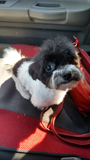 Pet Supply Store «PetSmart», reviews and photos, 4164 E. McCain Blvd., North Little Rock, AR 72117, USA