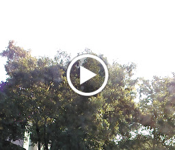 contemplativo Lomas del Pedregal Park photo