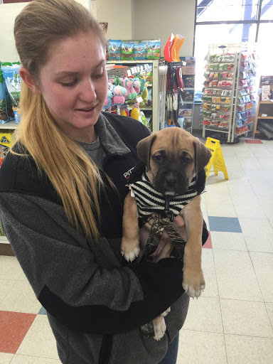 Pet Supply Store «Stoltzfus Feed & Supply», reviews and photos, 80 PA-41, Gap, PA 17527, USA