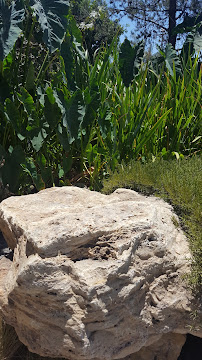 JB's Pools & Ponds, Inc. - Photo 7 - Car repair in Upland, CA, Ontario