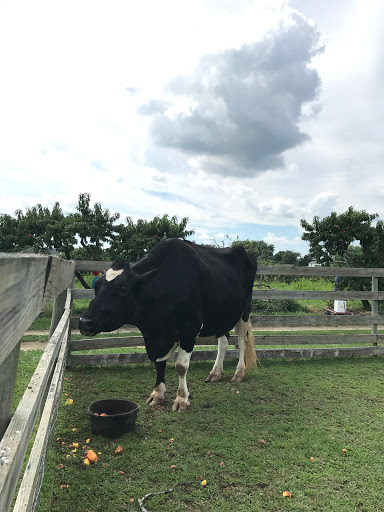 Winery «Heritage Vineyards», reviews and photos, 480 Mullica Hill Rd, Mullica Hill, NJ 08062, USA