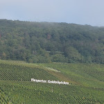 Photo n°10 de l'avis de Alexandra.i fait le 18/10/2023 à 11:05 sur le  Landgasthof Alt Piesport à Piesport