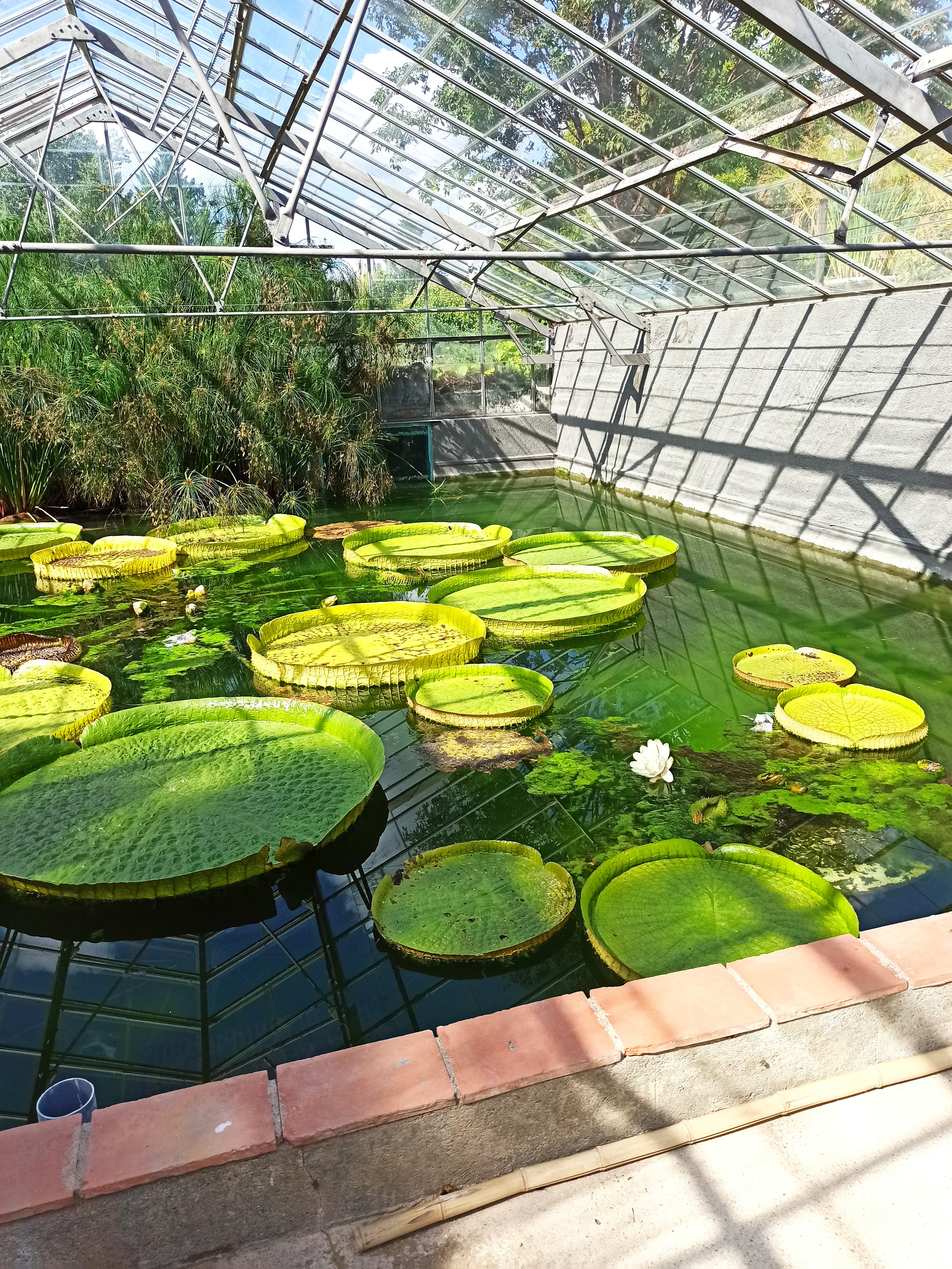 Photo n° 1 de l'avis de Dd.o fait le 22/09/2020 à 13:32