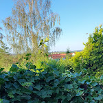 Photo n°8 de l'avis de Evelyne. fait le 19/07/2020 à 14:44 sur le  Ferienhaus kleine Hexe à Thale