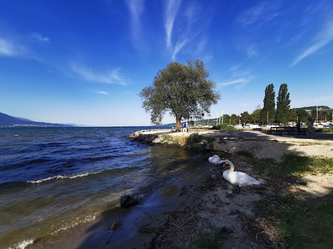 Kommentare und Rezensionen über Camping Yverdon Plage