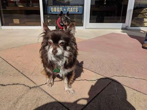 Pet Supply Store «Bow Wow & Meow», reviews and photos, 11607 Maumelle Blvd, North Little Rock, AR 72113, USA