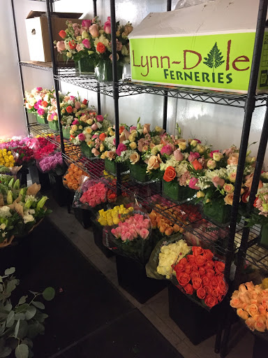 Florist «Flower Market», reviews and photos, 5851 Wiles Rd, Coral Springs, FL 33067, USA