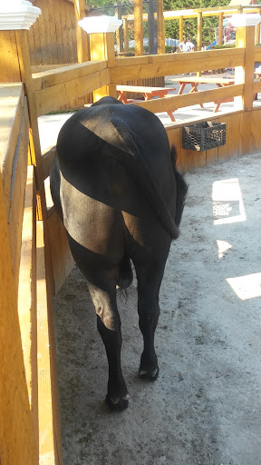 Childrens Farm «Best Long Island Pumpkin Picking», reviews and photos, 250 Old Country Rd, Melville, NY 11747, USA