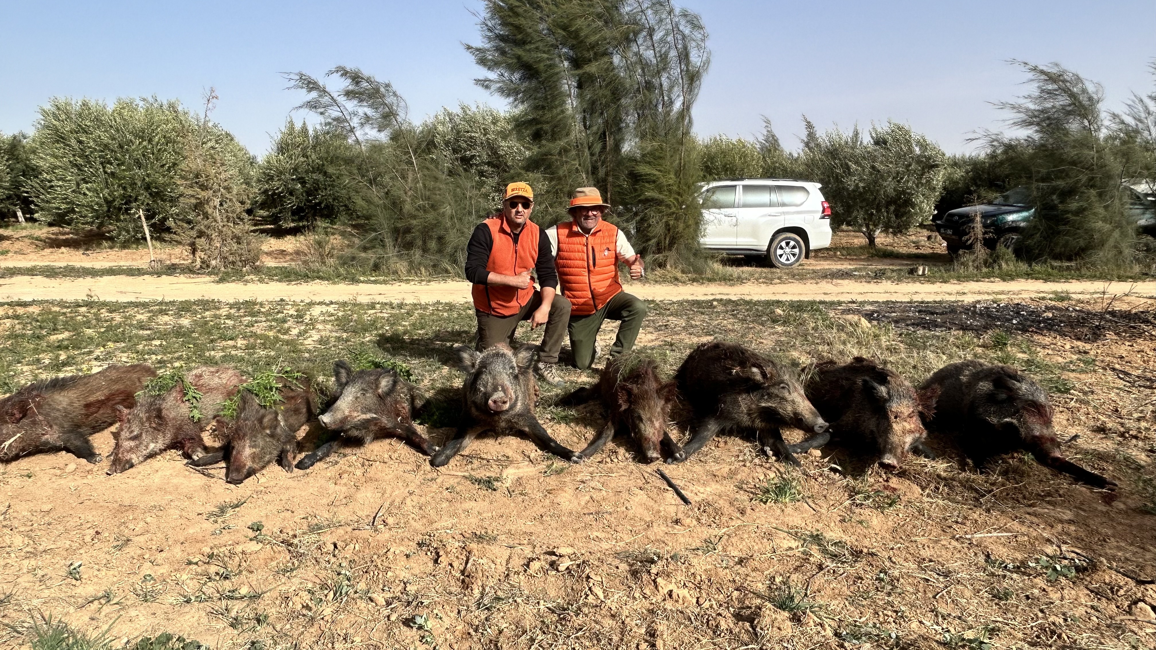 Photo n° 1 de l'avis de David.a fait le 20/03/2024 à 14:42