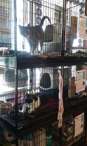 Pet Supply Store «Pet Valu», reviews and photos, 8928 Darrow Rd D101, Twinsburg, OH 44087, USA