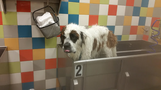 Pet Supply Store «Unleashed by Petco», reviews and photos, 1572 Foothill Blvd, La Verne, CA 91750, USA