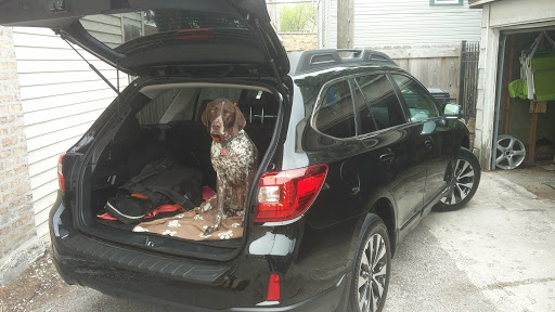 Subaru Dealer «Mid City Subaru Chicago», reviews and photos, 4330 W Irving Park Rd, Chicago, IL 60641, USA