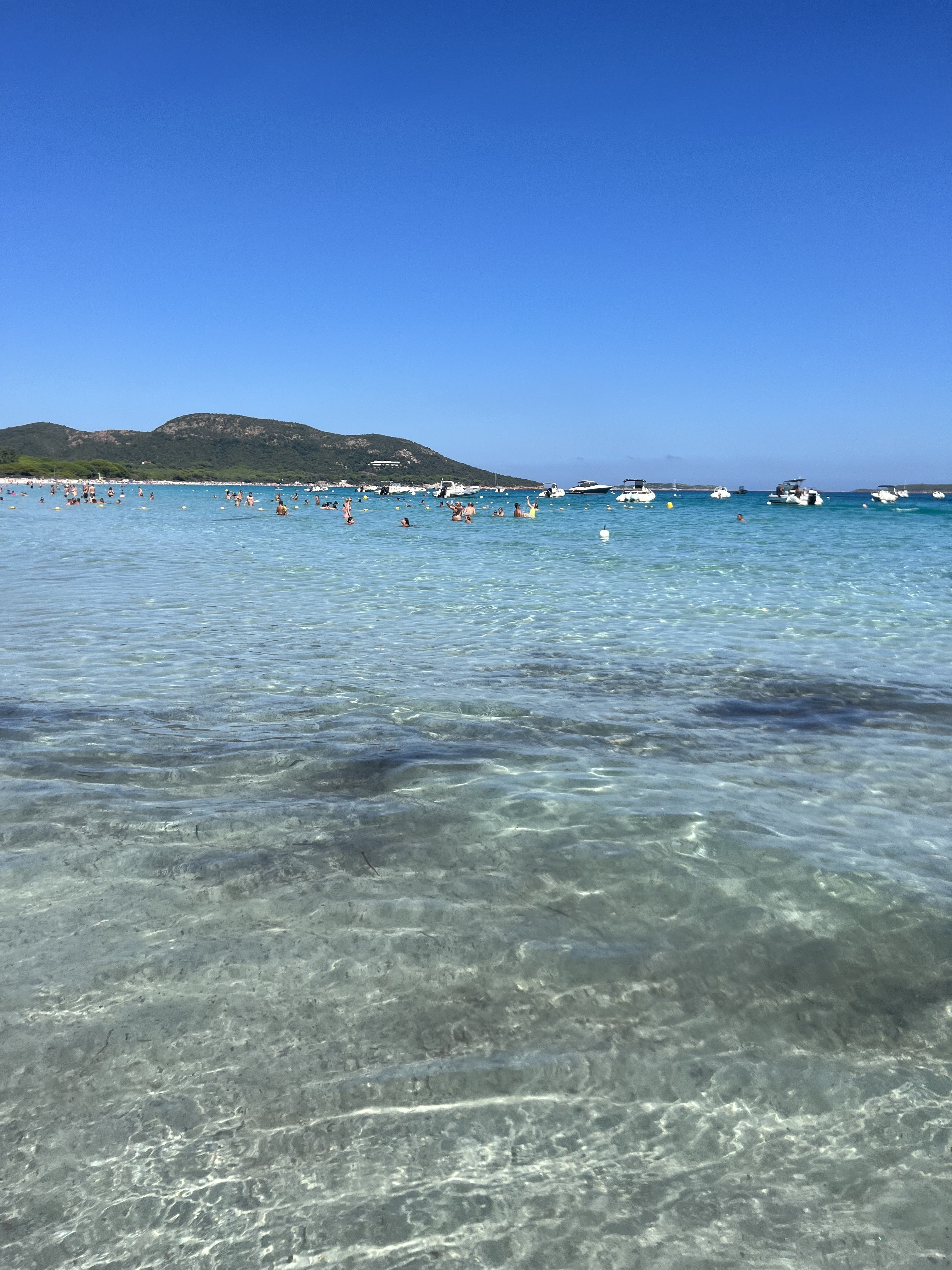 Photo n° 8 de l'avis de Willian.o fait le 13/08/2023 à 20:58