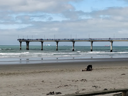New Brighton Pier & Foreshore Promotions Society