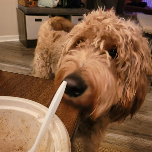 Pet Supply Store «Pet Evolution - Pet Food | Dog Wash | Grooming», reviews and photos, 429 Commerce Dr, Woodbury, MN 55125, USA