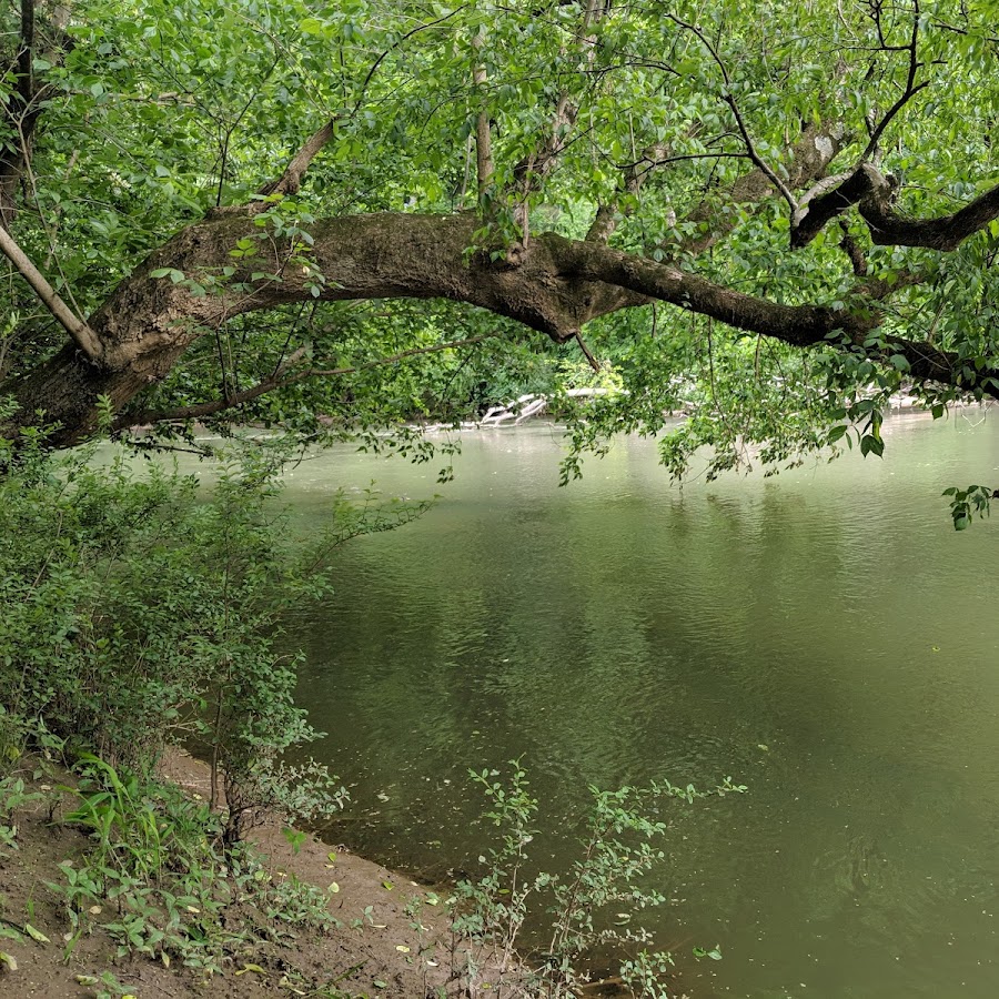 Yadkin River Greenway