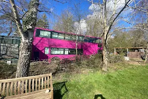 Walter Davies Scout Campsite image