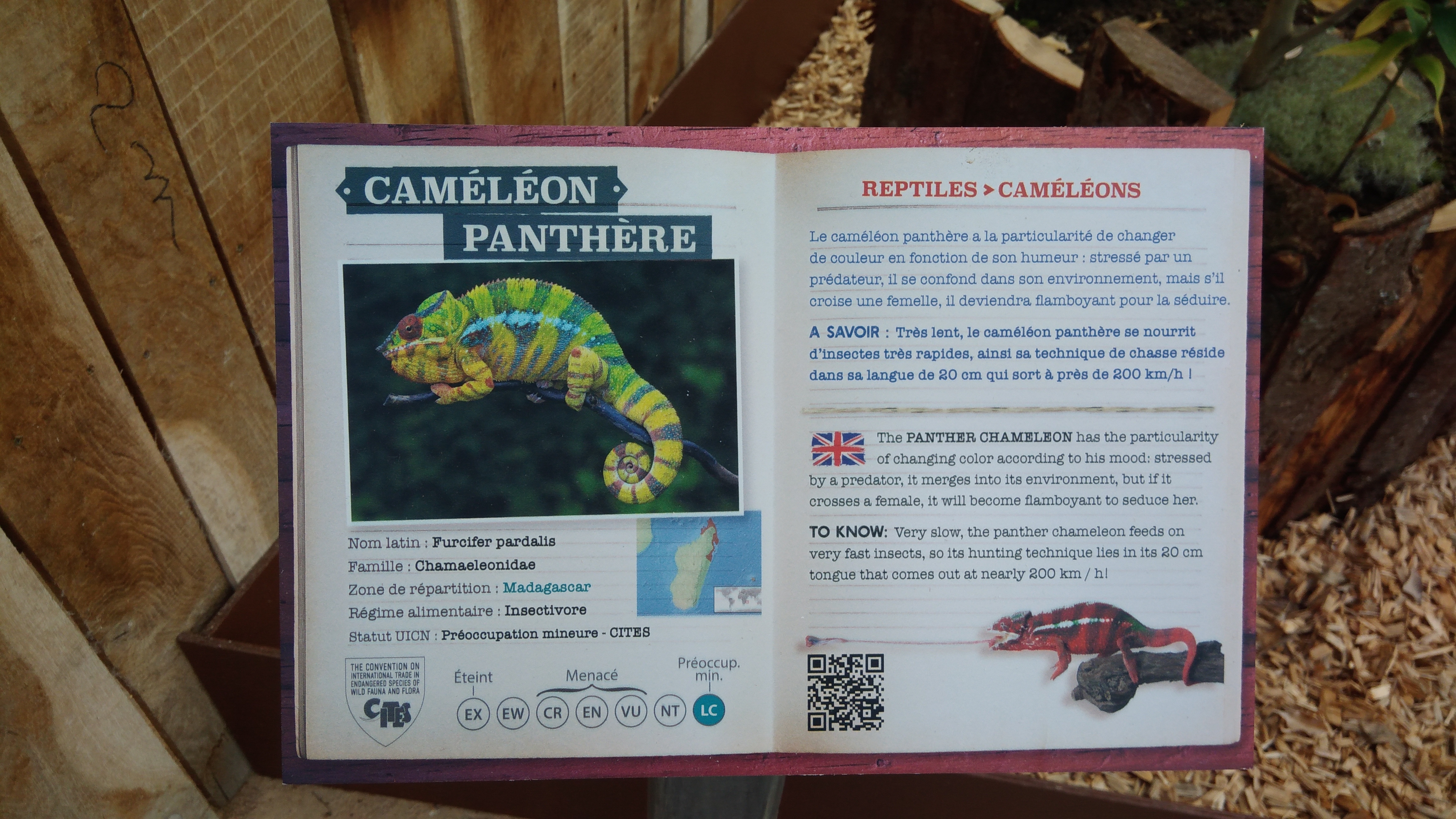 Photo n° 11 de l'avis de J.r fait le 10/04/2018 à 13:15