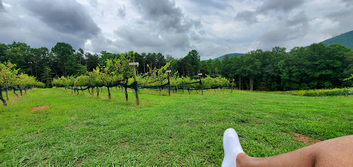 Winery «Sharp Mountain Vineyards», reviews and photos, 110 Rathgeb Trail, Jasper, GA 30143, USA