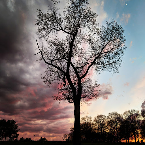 Park «Delcastle Recreational Park», reviews and photos, 2920 Duncan Rd, Wilmington, DE 19808, USA