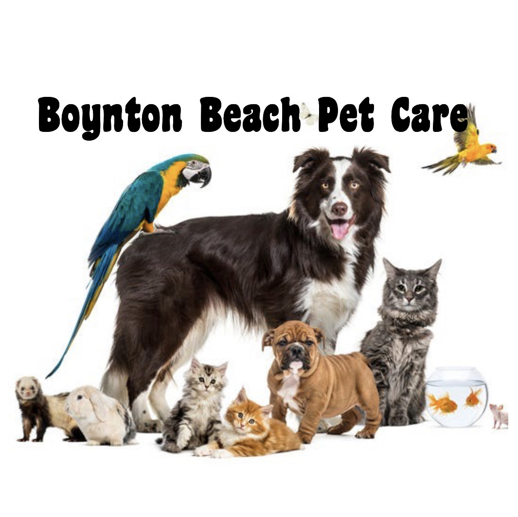 Boynton Beach Pet care