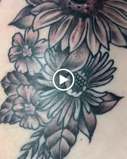 Explore boston terrier tattoo ideas, creative tattoo ideas in Hazard, available at Lost Gypsy Tattoo