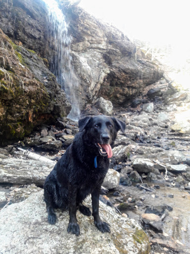 Tourist Attraction «Black Ledge Falls», reviews and photos, Hebron Ave, Glastonbury, CT 06033, USA