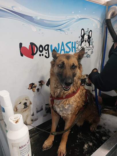 I Love Dog Wash Benimaclet - Servicios para mascota en Valencia
