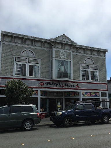 Toy Store «Spunky Skunk», reviews and photos, 344 N Franklin St, Fort Bragg, CA 95437, USA