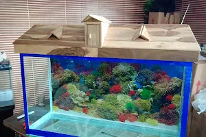 Golden Aquariums Ambala image