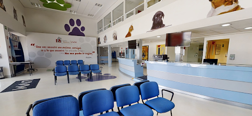 UVM Hospital Veterinario - Universidad del Valle de México