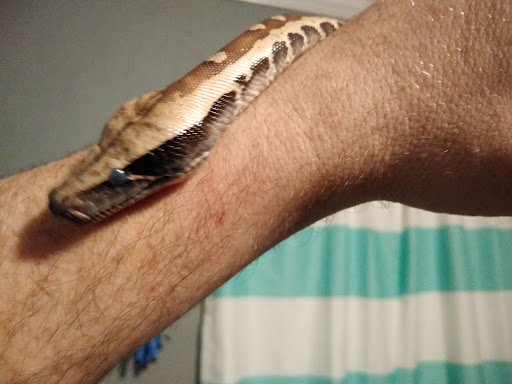 Pet Store «Critter Castle», reviews and photos, 1461 Boiling Springs Rd, Spartanburg, SC 29303, USA