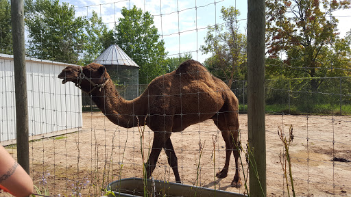 Zoo «Special Memories Zoo», reviews and photos, W7013 Spring Rd, Greenville, WI 54942, USA