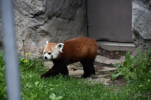 Park «Syracuse Zoo (Rosamond Gifford Zoo)», reviews and photos, One Conservation Pl, Syracuse, NY 13204, USA