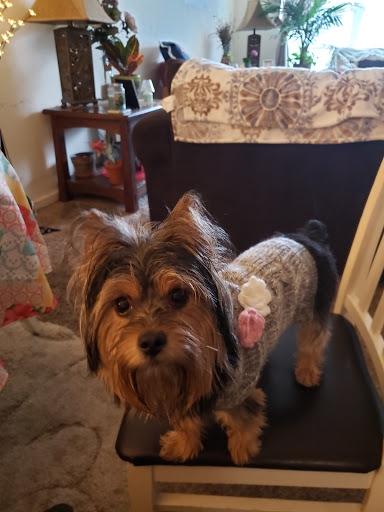 Pet Supply Store «PetSmart», reviews and photos, 67 Consumer Square, Plattsburgh, NY 12901, USA