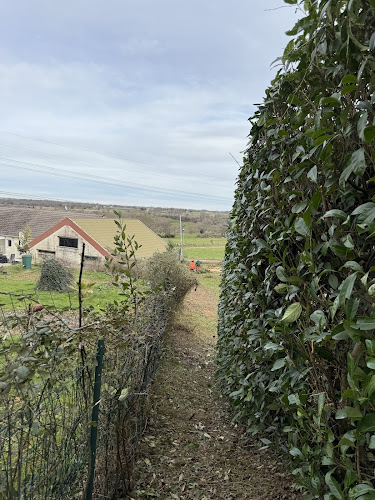 ENT.Clavé | Elagage & Abattage & Espaces Verts | - Pau