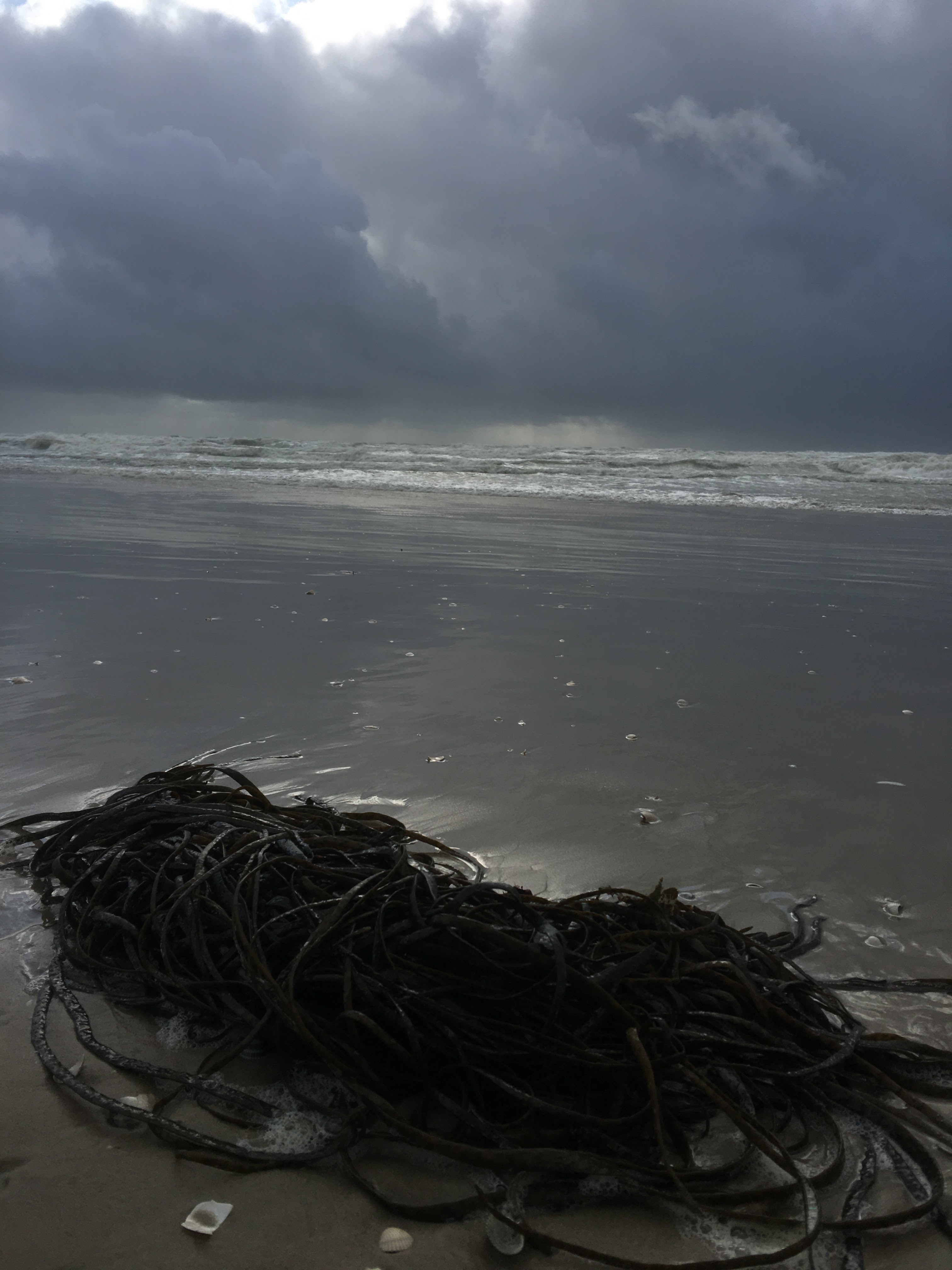 Photo n° 2 de l'avis de Alain.e fait le 17/02/2019 à 16:03