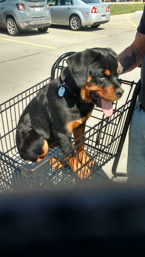 Pet Supply Store «Petco Animal Supplies», reviews and photos, 3430 W State St, Grand Island, NE 68803, USA