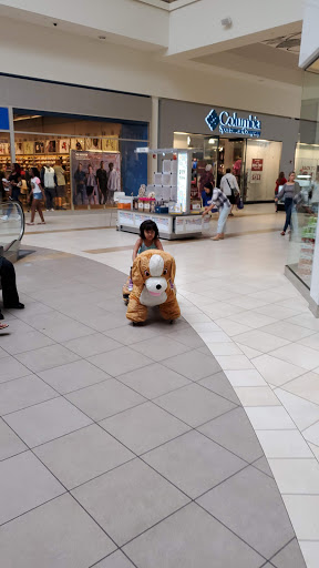 Clothing Store «Forever 21», reviews and photos, 5220 Fashion Outlets Way #1005, Chicago, IL 60656, USA