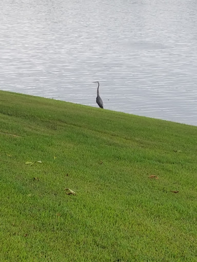 Campground «Defeated Creek Campground», reviews and photos, 140 Marina Ln, Defeated, TN 37030, USA