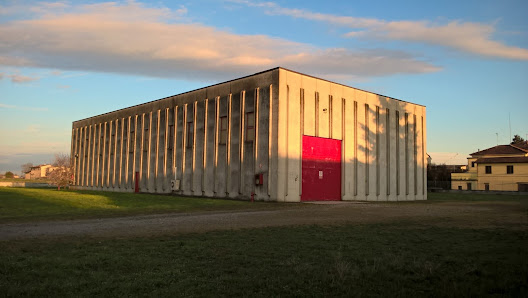 ROTA PIUME di ROTA ARMANDO LAVORAZIONE PIUME E PIUMINI, Via Don Primo Mazzolari, 1, 26030 Cicognolo CR, Italia