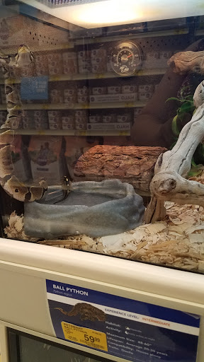 Pet Supply Store «PetSmart», reviews and photos, 1520 Pleasant Valley Rd, Manchester, CT 06042, USA