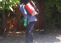 Activated Pest Solutions Inc | pest control - Photo 7 - Car repair in Menifee, CA, Moreno Valley