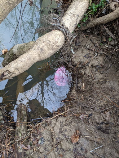 Golf Course «Wills Park Disc Golf Course», reviews and photos, 454 Wills Rd, Alpharetta, GA 30004, USA