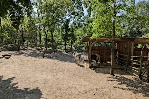 Children's Farm on the Görlitz e.V. image